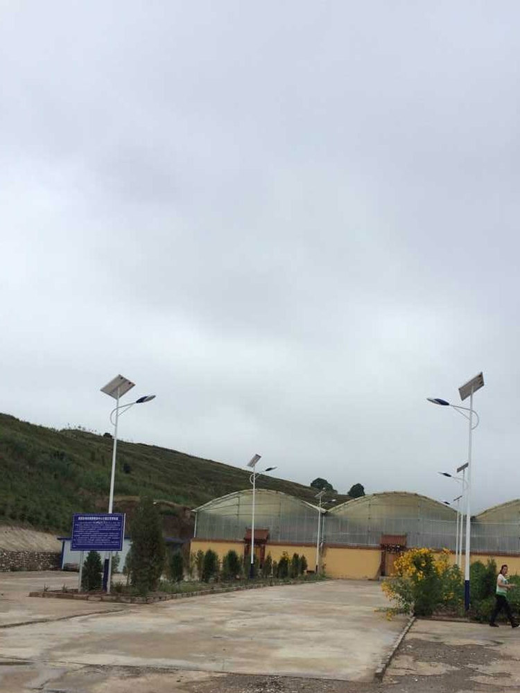 農(nóng)村太陽(yáng)能路燈 農(nóng)村太陽(yáng)能路燈