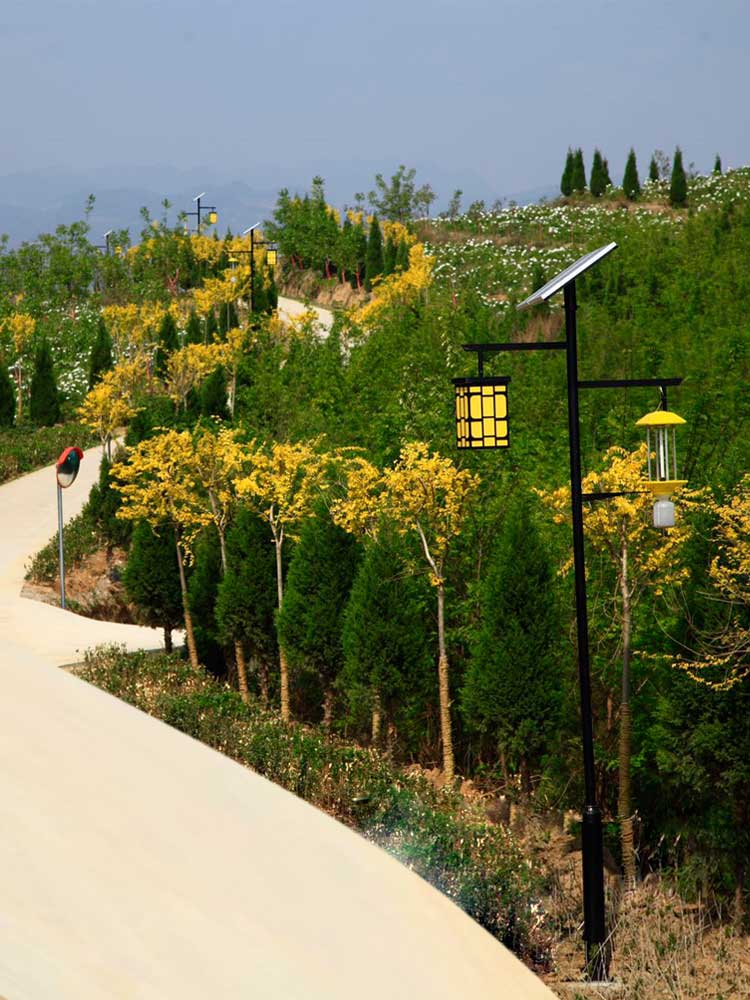 太陽(yáng)能殺蟲(chóng)燈 太陽(yáng)能殺蟲(chóng)燈